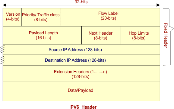 Diagram for 5.3 Network Layer